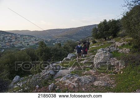 Hiking Along The Al Ayoun Trail Among The Olive Trees Near Orjan Village, Jordan, Middle East View Large Photo Image Stock Photo - Hiking Along The Al Ayoun Trail Among The Olive Trees Near Orjan Village, Jordan, Middle East. Fotosearch