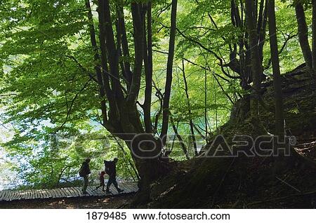 Hiking In Plitvice National Park. View Large Photo Image Stock Photography - Hiking In Plitvice National Park.. Fotosearch