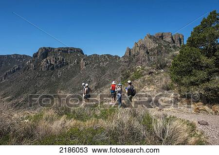 Hiking In The Chisos Basin, Big Bend National Park, Texas, Usa View Large Photo Image Stock Image - Hiking In The Chisos Basin, Big Bend National Park, Texas, Usa. Fotosearch