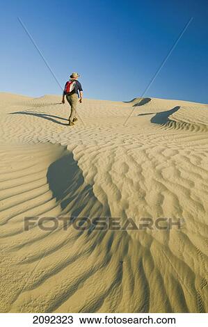 Stock Image - Hiking In The Great Sandhills; Sceptre Saskatchewan Canada. Fotosearch