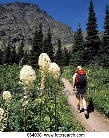 Stock Photo - Hiking In The Rocky Mountains, Waterton, Alberta, Canada. Fotosearch