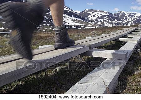 Picture - Hiking The Kungsleden Trail. Fotosearch