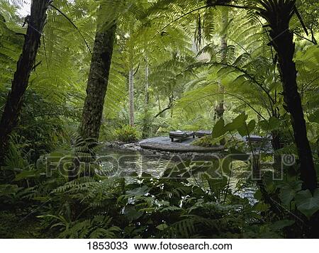 Stock Image - Hiking Trail, Bali, Indonesia. Fotosearch