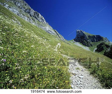 Picture - Hiking Trail In The Alps. Fotosearch