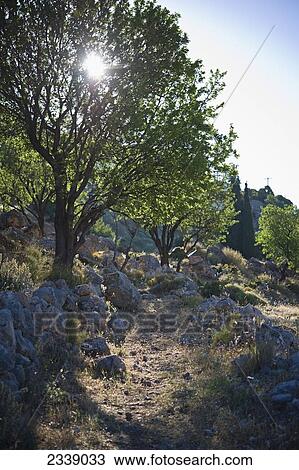 Hiking Trail In The Early Morning; Delphi, Greece View Large Photo Image Stock Image - Hiking Trail In The Early Morning; Delphi, Greece. Fotosearch
