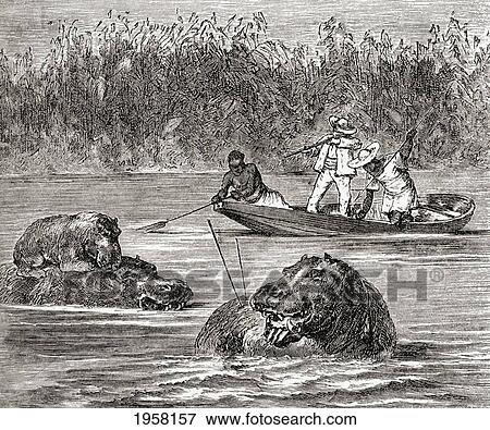 Hippopotamus Hunting In Africa In The 19Th Century. From Africa By Keith Johnston, Published 1884. View Large Photo Image Stock Photo - Hippopotamus Hunting In Africa In The 19Th Century. From Africa By Keith Johnston, Published 1884.. Fotosearch