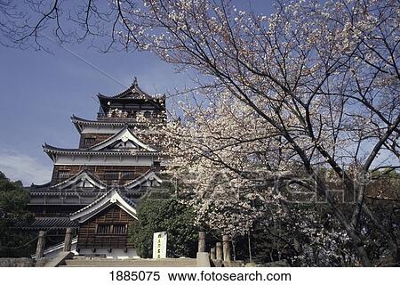 Hiroshima Castle And Cherry Blossoms In Spring View Large Photo Image Stock Photography - Hiroshima Castle And Cherry Blossoms In Spring. Fotosearch