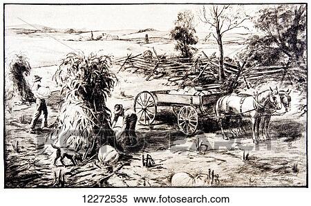 Stock Photography - Historic illustration of Farmers in fall pilling corn into corn shocks and picking pumpkins from early 20th century.. Fotosearch