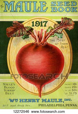 Historic Maule's seed book with illustration of blood turnip beet from 20th century. View Large Photo Image Stock Photograph - Historic Maule's seed book with illustration of blood turnip beet from 20th century.. Fotosearch