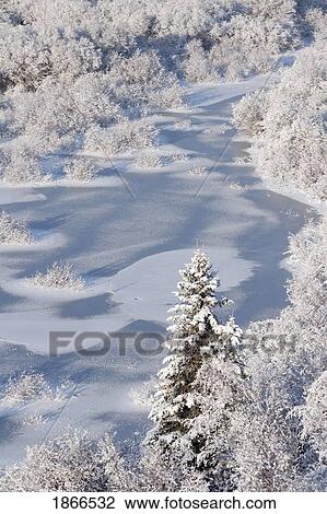 Hoar Frost On The Elbow River; Alberta, Canada View Large Photo Image Stock Image - Hoar Frost On The Elbow River; Alberta, Canada. Fotosearch