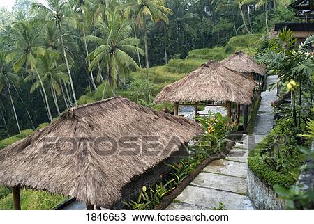 Holiday Resort In Tropical Forest View Large Photo Image Stock Image - Holiday Resort In Tropical Forest. Fotosearch