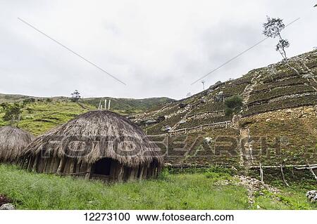 Stock Image - Honai (hut) in the Baliem Valley, Central Highlands of Western New Guinea, Papua, Indonesia. Fotosearch