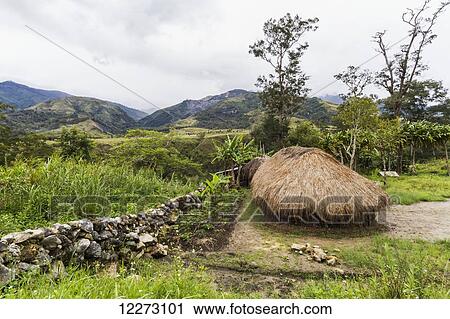 Stock Image - Honai (hut) in the Baliem Valley, Central Highlands of Western New Guinea, Papua, Indonesia. Fotosearch