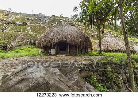 Stock Image - Honai (huts) in the Baliem Valley, Central Highlands of Western New Guinea, Papua, Indonesia. Fotosearch