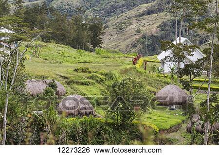 Stock Photograph - Honai (huts) in the Baliem Valley, Central Highlands of Western New Guinea, Papua, Indonesia. Fotosearch
