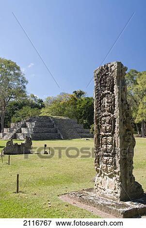 Honduras, Copan Ruinas, Copan Archeological Park, Stela F, Mayan glyphs View Large Photo Image Stock Photo - Honduras, Copan Ruinas, Copan Archeological Park, Stela F, Mayan glyphs. Fotosearch