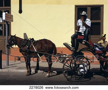 Horse and carriage outside Museum of Rum, Port Road, Habana Vieja; Havana, Cuba View Large Photo Image Stock Photograph - Horse and carriage outside Museum of Rum, Port Road, Habana Vieja; Havana, Cuba. Fotosearch