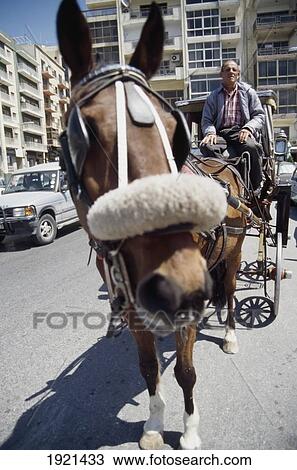 Horse And Cart Taxi View Large Photo Image Stock Image - Horse And Cart Taxi. Fotosearch