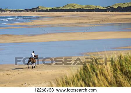 Horse and rider on beach with grassy sand dunes and blue sky; Count Clare, Ireland View Large Photo Image Stock Image - Horse and rider on beach with grassy sand dunes and blue sky; Count Clare, Ireland. Fotosearch