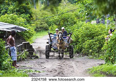 Stock Photo - Horse-Drawn Carriages Are The Main Mode Of Transport On Island Of Gili Trawangan, Indonesia. Fotosearch
