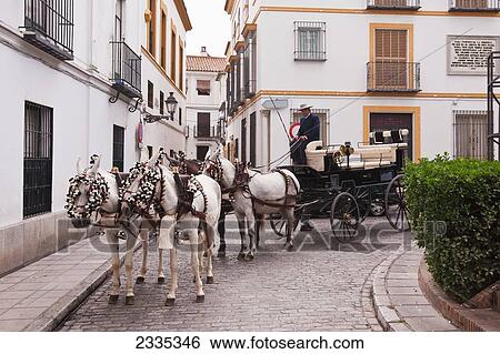 Horse Drawn Wagon In Santa Cruz District; Seville, Andalucia, Spain View Large Photo Image Stock Photograph - Horse Drawn Wagon In Santa Cruz District; Seville, Andalucia, Spain. Fotosearch