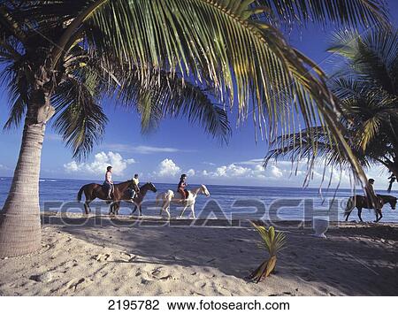 Stock Image - Horse Riders On Half Moon Bay Hotel Beach At Dawn Montego Bay, Jamaica. Fotosearch