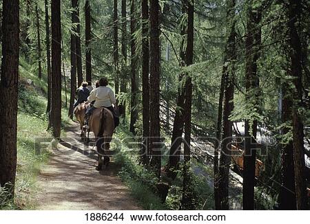 Picture - Horse Riders. Fotosearch