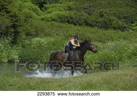Horse Riding At Manorbier. Once Described As 'the Pleasantest Place In Wales'. Pembrokeshire. Wales. Cymru. Uk. United Kingdom. View Large Photo Image Stock Photography - Horse Riding At Manorbier. Once Described As 'the Pleasantest Place In Wales'. Pembrokeshire. Wales. Cymru. Uk. United Kingdom.. Fotosearch