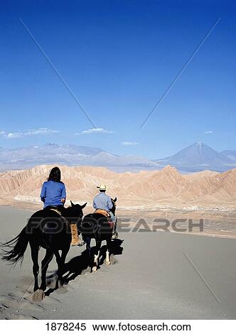 Horse Riding In The Atacama Desert, Chile View Large Photo Image Stock Photography - Horse Riding In The Atacama Desert, Chile. Fotosearch