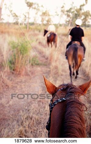 Horse Riding View Large Photo Image Stock Photo - Horse Riding. Fotosearch