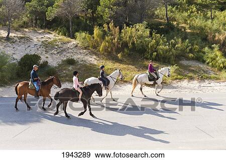 Horseback Riding Along A Road By Punta Paloma; Tarifa Cadiz Andalusia Spain View Large Photo Image Stock Photo - Horseback Riding Along A Road By Punta Paloma; Tarifa Cadiz Andalusia Spain. Fotosearch