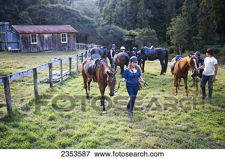 Stock Photo - Horseback Riding At Blue Duck Lodge, A Working New Zealand Farm In The Whanganui National Park; Whakahoro, New Zealand. Fotosearch