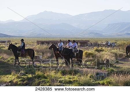 Stock Photography - Horseback riding in a rural area with mountains in the distance; Malargue, Argentina. Fotosearch