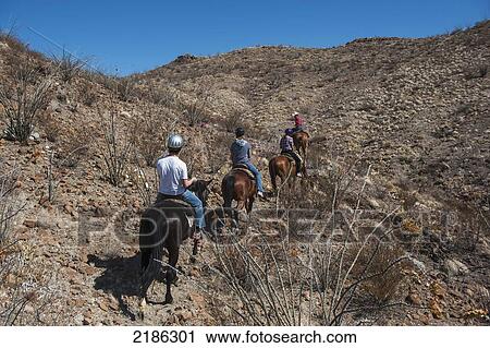 Horseback Riding In Big Bend Ranch State Park, Texas, Usa View Large Photo Image Stock Image - Horseback Riding In Big Bend Ranch State Park, Texas, Usa. Fotosearch