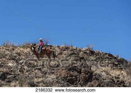 Horseback Riding In Big Bend Ranch State Park, Texas, Usa View Large Photo Image Stock Image - Horseback Riding In Big Bend Ranch State Park, Texas, Usa. Fotosearch