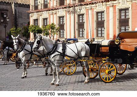 Stock Image - Horses And Carriages Waiting On The Street; Sevilla Andalusia Spain. Fotosearch