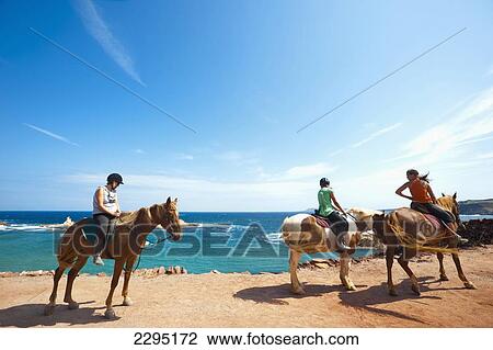 Stock Image - Horses In Cala Pregonda, Menorca, Balearic Islands, Spain. Fotosearch