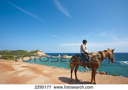 Horses In Cala Pregonda, Menorca, Balearic Islands, Spain View Large Photo Image Stock Photo - Horses In Cala Pregonda, Menorca, Balearic Islands, Spain. Fotosearch