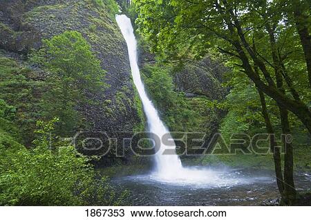 Stock Image - Horsetail Falls, Columbia River Gorge, Oregon, Usa. Fotosearch