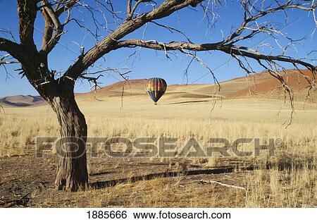 Stock Photograph - Hot Air Ballooning Over Namib Desert With Tree In Foreground. Fotosearch