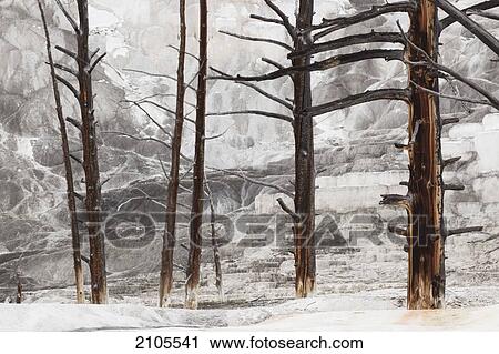 Hot Springs In Yellowstone National Park; Wyoming United States Of America View Large Photo Image Stock Image - Hot Springs In Yellowstone National Park; Wyoming United States Of America. Fotosearch