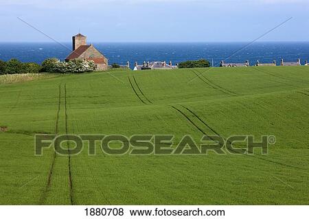 House Along The Water And A Grassy Field; St. Abb's Head, Northumberland, England View Large Photo Image Stock Photo - House Along The Water And A Grassy Field; St. Abb's Head, Northumberland, England. Fotosearch