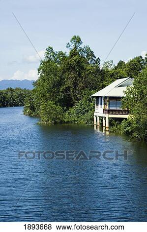 House Surrounded By Jungle On Besut River View Large Photo Image Stock Photo - House Surrounded By Jungle On Besut River. Fotosearch
