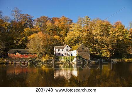 Stock Photo - Houses Along The River Reflected In The Water In Autumn; Durham England. Fotosearch