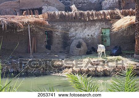 Houses By Nile River Near Dishna, Qina, Egypt View Large Photo Image Stock Image - Houses By Nile River Near Dishna, Qina, Egypt. Fotosearch