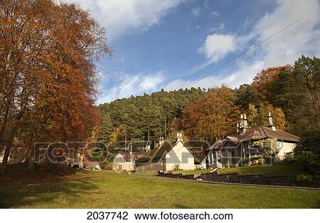 Stock Image - Houses In A Community With Trees In Autumn Colours; Northumberland England. Fotosearch