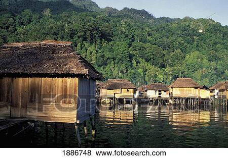 Houses On Stilts By Lush Coastline View Large Photo Image Stock Photo - Houses On Stilts By Lush Coastline. Fotosearch