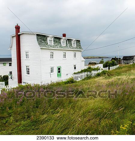 Stock Image - Houses on the atlantic coast; Plate Cove East, Newfoundland and Labrador, Canada. Fotosearch