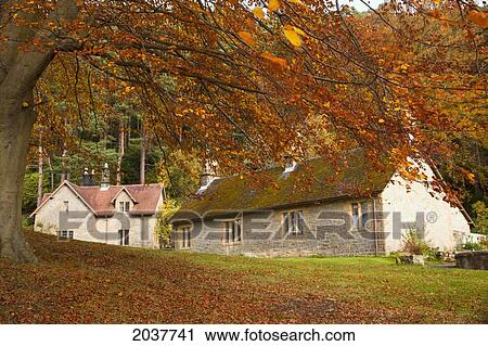 Stock Image - Houses With Trees In Autumn Colours; Northumberland England. Fotosearch