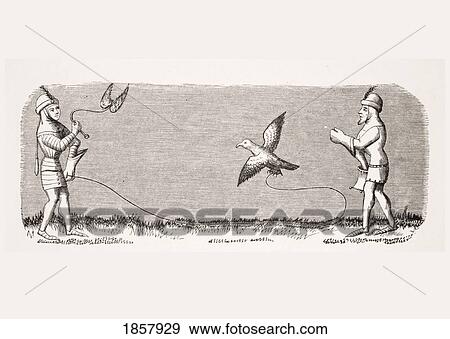 Stock Photo - How To Train A New Falcon. 19Th Century Reproduction Of Miniature In 14Th Century Manuscript Of Livre Du Roy Modus. Fotosearch